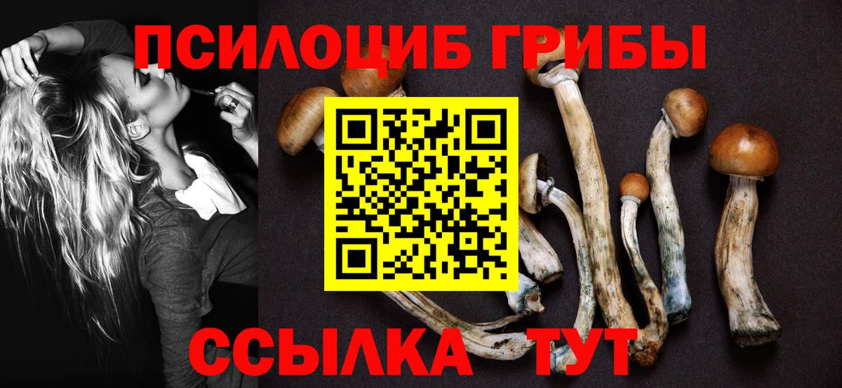 Галлюциногенные грибы ЛСД Армавир