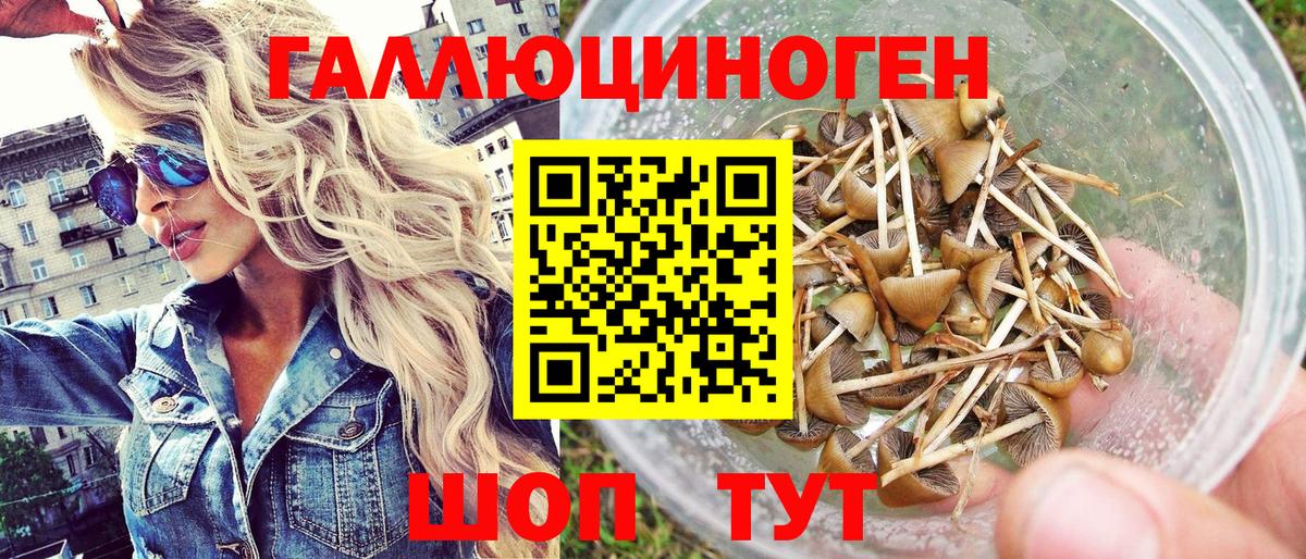 Псилоцибиновые грибы ЛСД  Галлюциногенные грибы Cubensis  Армавир  Вход с VPN 