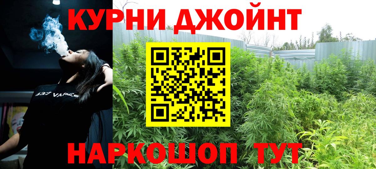 Конопля MAZAR Армавир